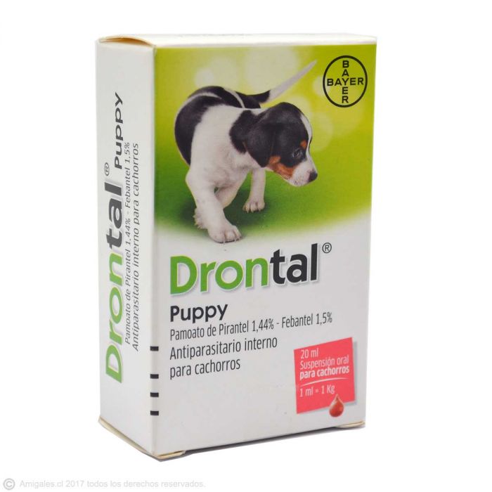 DRONTAL