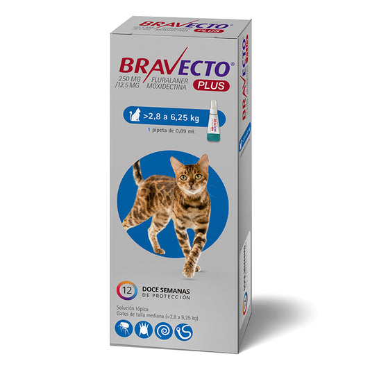 Bravecto Plus para Gatos 2,8 a 6,25 Kg Pipeta