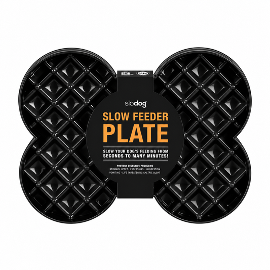 Plato Slodog Negro (Comedero lento)