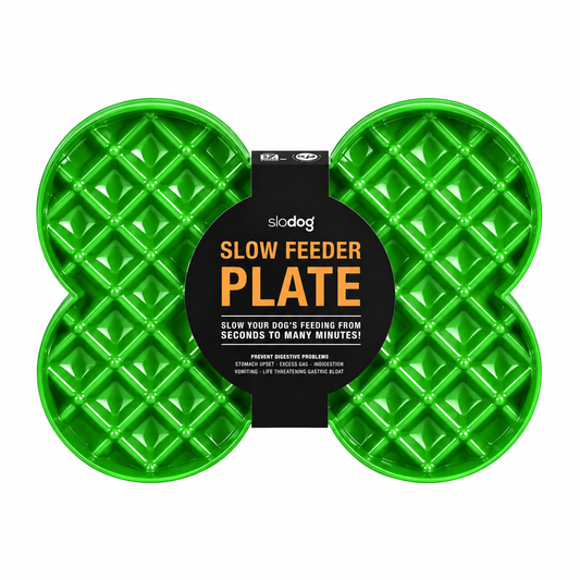 Plato Slodog Verde (Comedero lento)