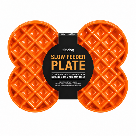 Plato Slodog Naranja (Comedero lento)