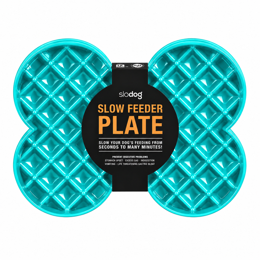 Plato Slodog Azul (Comedero lento)