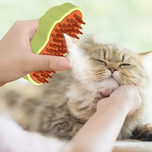 Cepillo de masaje con vapor para Gatos.