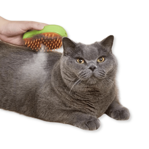 Cepillo de masaje con vapor para Gatos - Pet spa