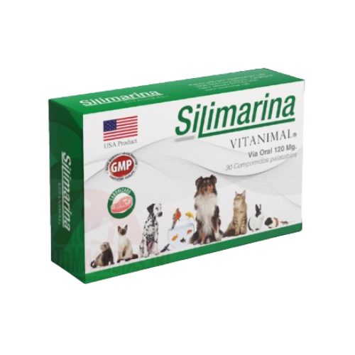 Silimarina via oral 120mg