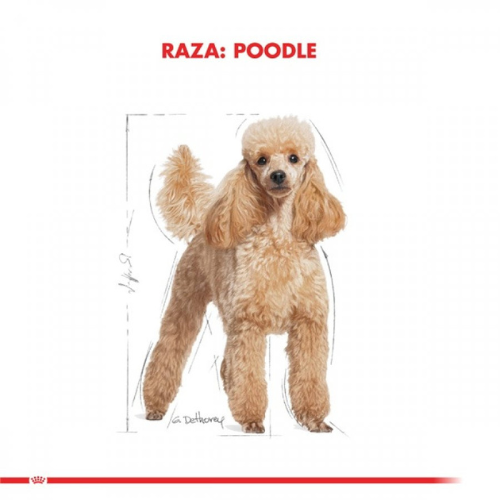 Royal Canin Poddle 3Kg
