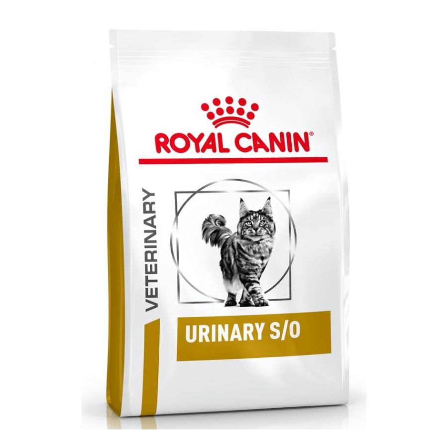 Royal Canin Gato Adulto Urinary S/O 1.5KG