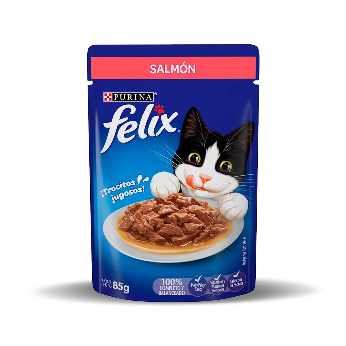 Felix Salmón gato adulto 85g