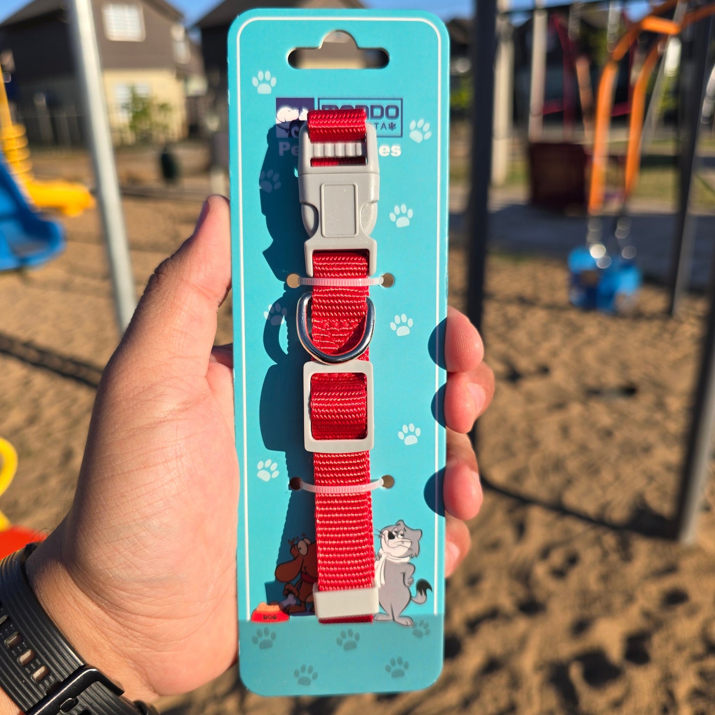 Collar de genero para Mascotas - Mundo Mascotas 1.5cm