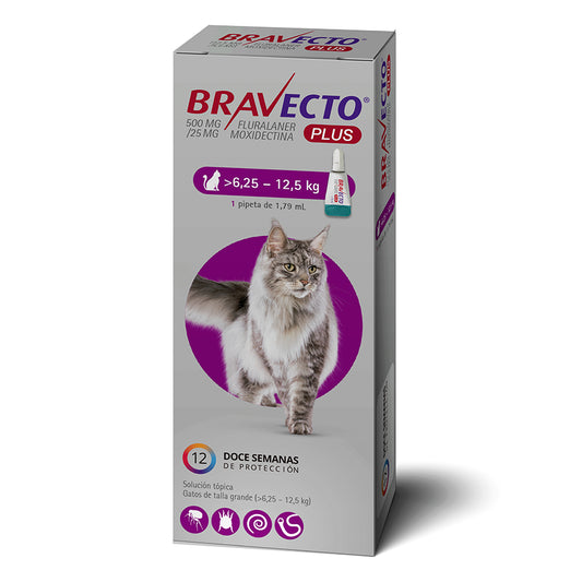 Bravecto Plus para Gatos 6,25 a 12,5 Kg Pipeta