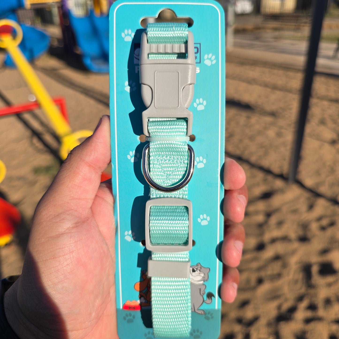 Collar de genero para Mascotas - Mundo Mascotas 2cm