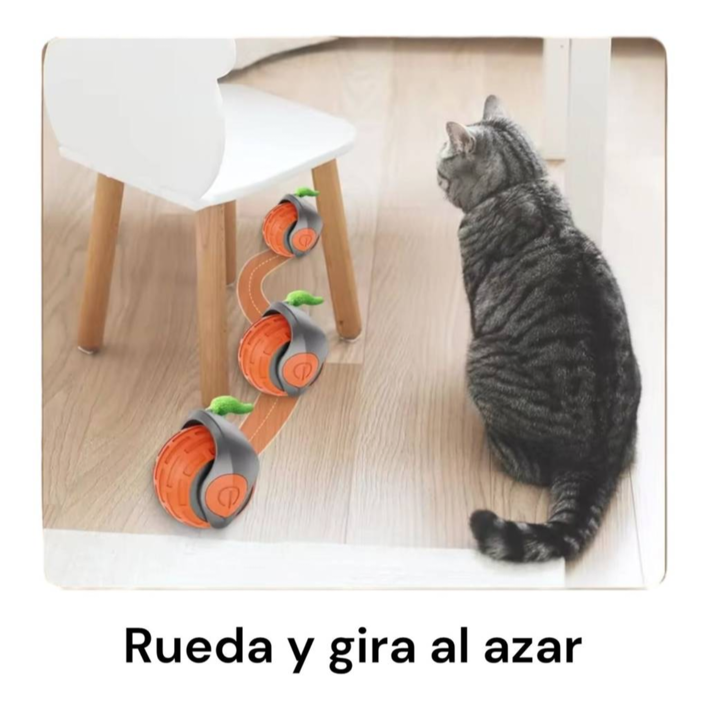 Pelota inteligente intercativa para Gatos y Perros
