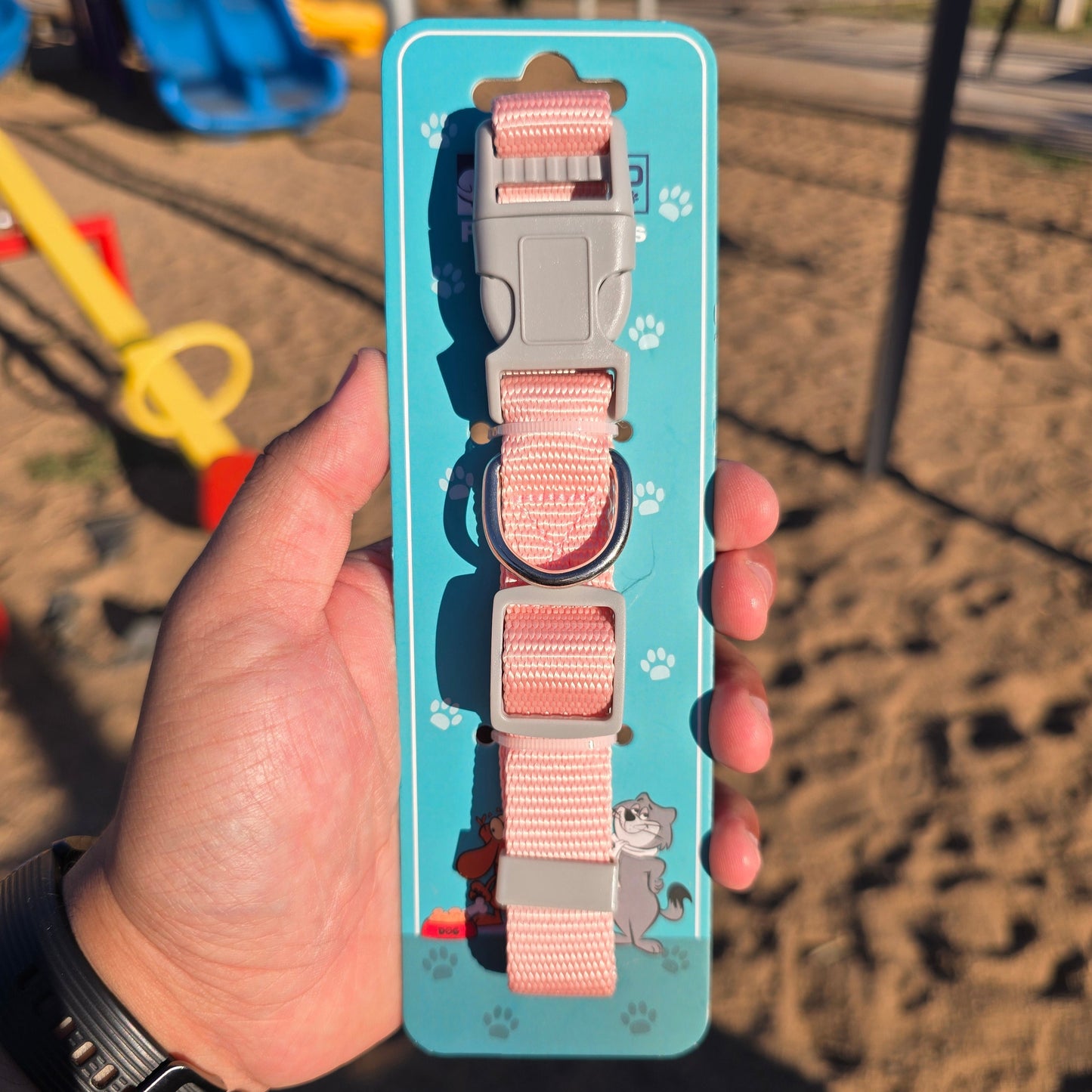 Collar de genero para Mascotas - Mundo Mascotas 2cm