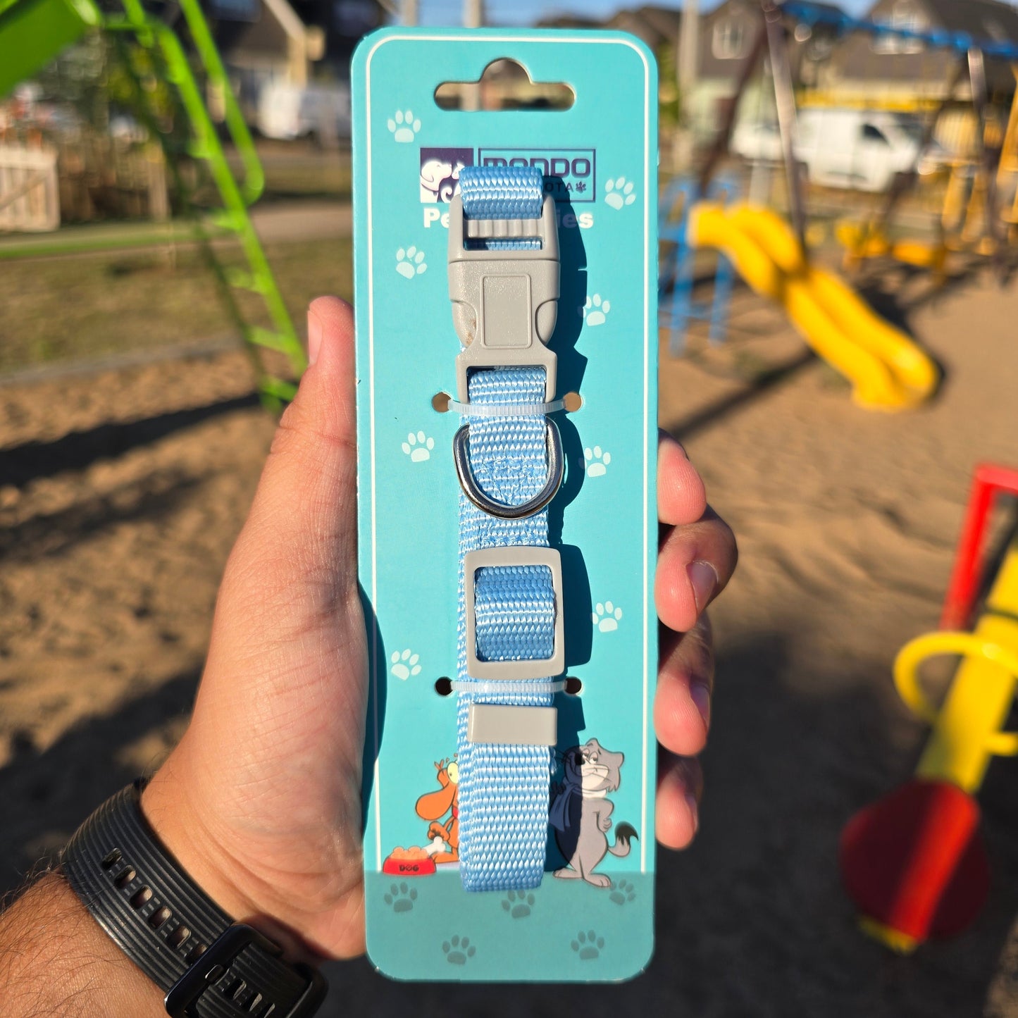 Collar de genero para Mascotas - Mundo Mascotas 1.5cm