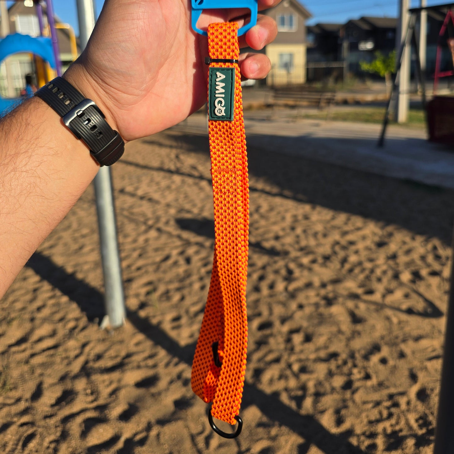 Correa de paseo 2cm * 1.20cm - Buen Amigo Pet